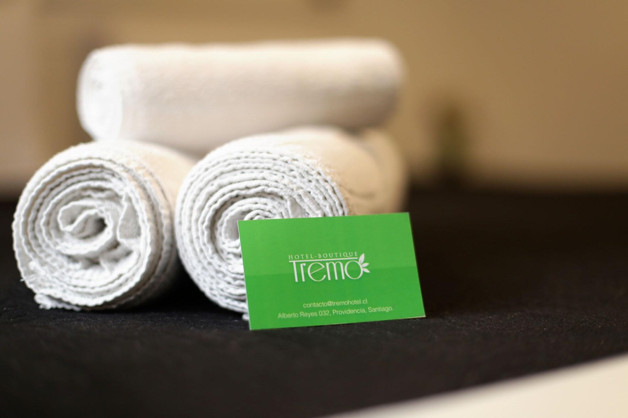 Hotel Boutique Tremo Bustamante Σαντιάγκο Εξωτερικό φωτογραφία